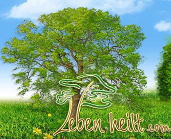 www.leben-heilt.com