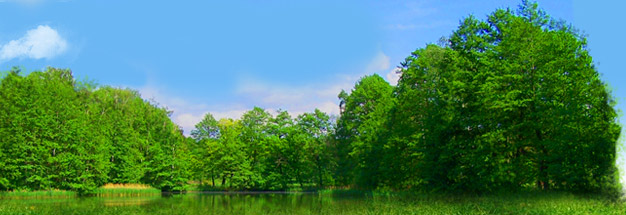 www.leben-heilt.com
