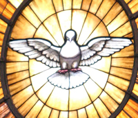 Kirchenfenster mit Taube