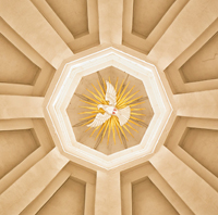 Kirche_Taube