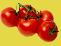 Tomaten