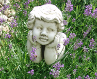 Engel im Lavendel