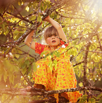 Kind, Baum, klettern