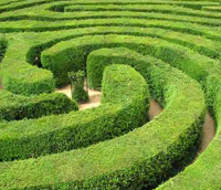 Buchsgarten, Irrgarten