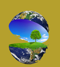 Erdkugel, geöffnet, Baum auf Wiese