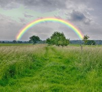 Regenbogen über Feldweg