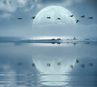 Vollmond, Wasser, blau