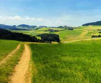Weg durch hügelige Landschaft