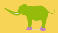grüner Elefant mit rosa Socken