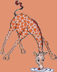 Giraffe trinkt