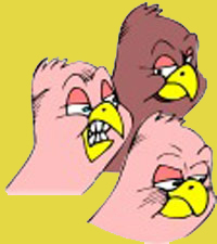 3 Hühner wie missgünstige Nachbarn