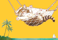 Katze in Hängematte