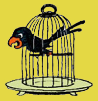 Vogel im Käfig